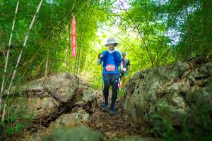 BIB: 
                            <button type="button" onclick="openModal(22087436)" class="btn btn-primary btn-sm float-right btn-popup" data-toggle="modal" data-target=".modal-high-quality">
                        <i class="fas fa-shopping-cart"></i> Add to Cart
                    </button>
                                            <button type="button" onclick="isThisMe(22087436, true)" class="btn btn-success btn-sm float-right btn-popup btn-isme hidden" data-toggle="tooltip" data-placement="bottom" title="นี่คือรูปของคุณใช่ไหม คลิกที่นี่เพื่อเอาเข้าอัลบั้ม">
                        <i class="fas fa-plus"></i> Add to album
                    </button>
                    <button type="button" onclick="isThisMe(22087436, false)" class="btn btn-warning btn-sm float-right btn-popup btn-isnotme hidden">
                        <i class="fas fa-ban"></i> Remove from album
                    </button>